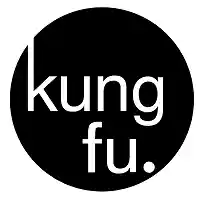 kungfustore.com