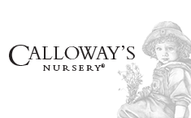calloways.com